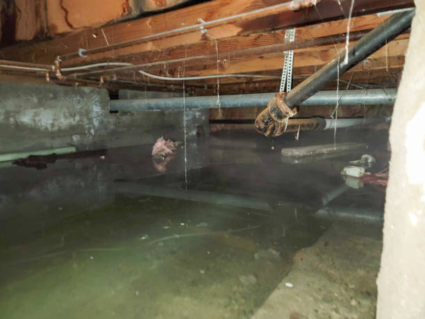 Best Water damage restoration company  in Lakewood Clu, MI