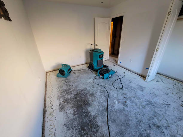 Best Water damage contractors near me  in Lakewood Clu, MI