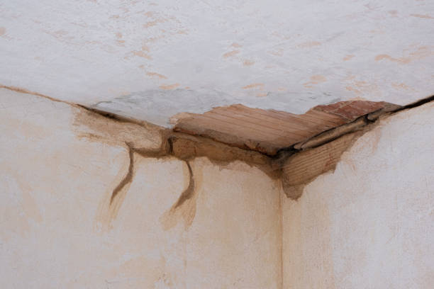 Best Professional water damage repair  in Lakewood Clu, MI