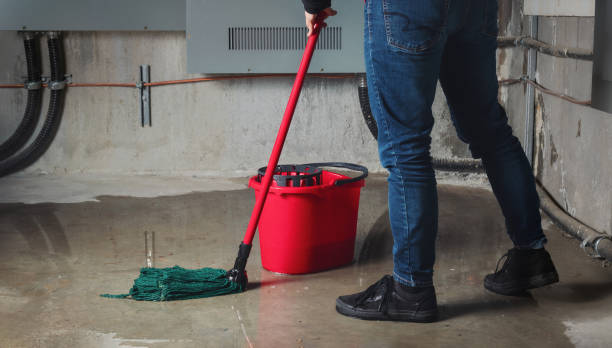Best Mold removal after water damage  in Lakewood Clu, MI