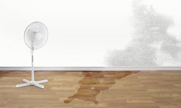 Best Flood damage cleanup  in Lakewood Clu, MI