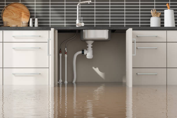 Best Flood restoration services  in Lakewood Clu, MI