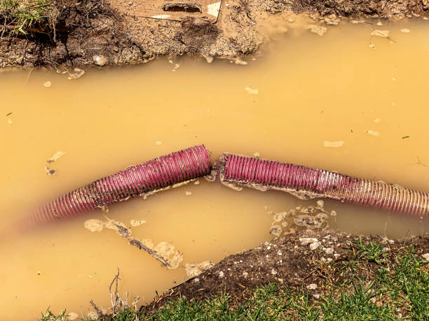 Professional Water damage restoration in Lakewood Clu, MI
