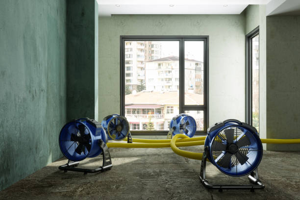 Best Water damage restoration near me  in Lakewood Clu, MI