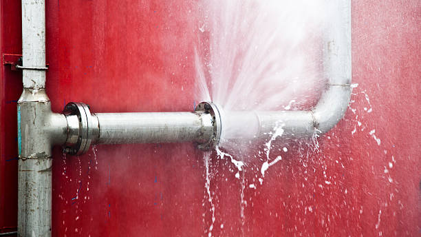  Lakewood Clu, MI Water damage restoration Pros