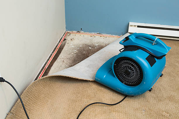 Best Ceiling water damage repair  in Lakewood Clu, MI