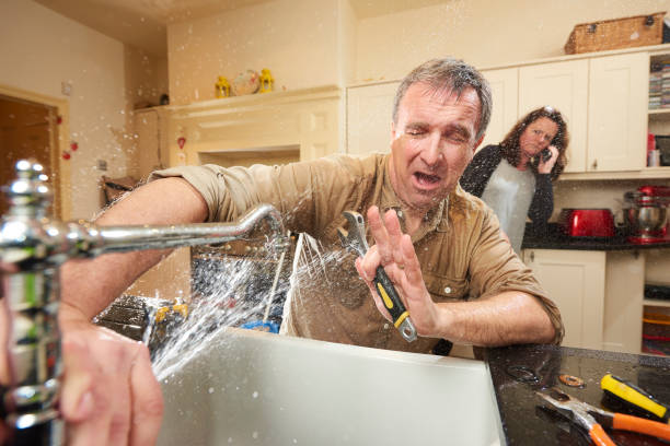 Best Water damage restoration mold remediation  in Lakewood Clu, MI